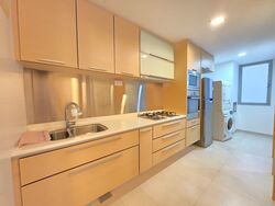 8 @ Mount Sophia (D9), Condominium #568234991